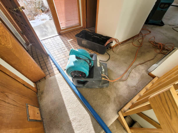 Best Water damage restoration mold remediation  in Fox Chase, PA
