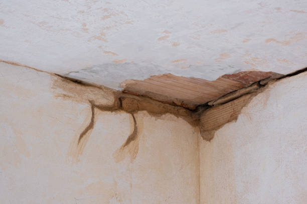 Best Basement water damage restoration  in Fox Chase, PA