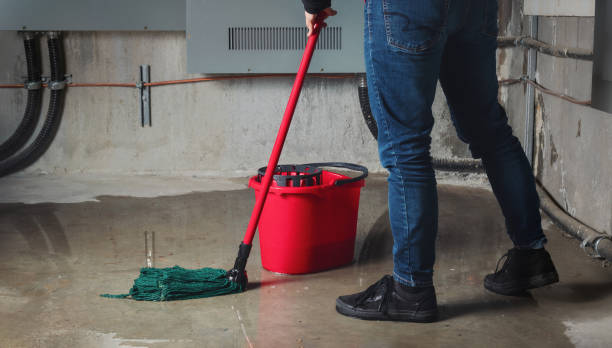 Best Professional water damage repair  in Fox Chase, PA