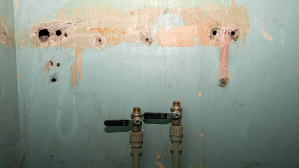 Fox Chase, PA Water damage restoration Company