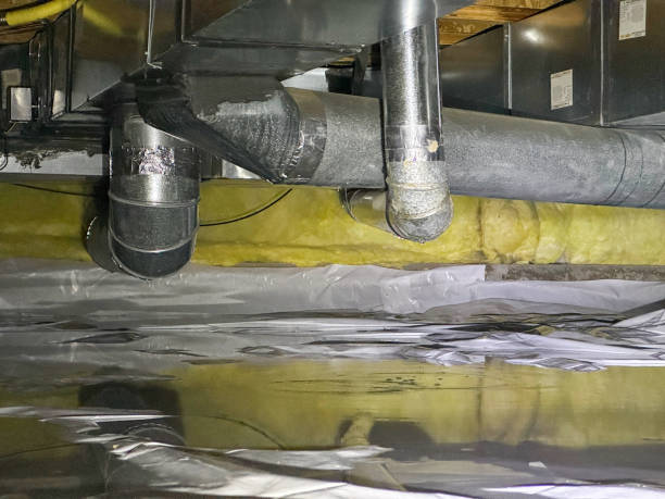 Carpet water damage restoration in Fox Chase, PA